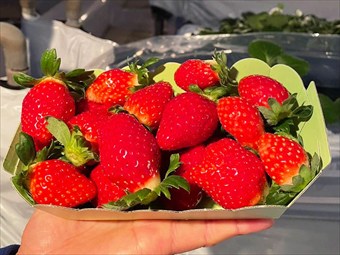 食べ放題目安400g